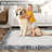 Machine Washable Rug with Rubber Backing for Living Room Abstract Non-Slip Dining Room Rug Bordered Printed Faux Wool Rugs for Bedroom Floor Carpet for Office Nursery Playroom-540797953