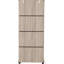 Naisha 2 Door Wardrobe