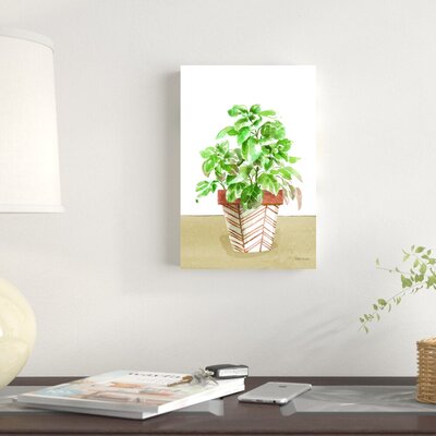 Herb Garden II White by Beth Grove - Wrapped Canvas Painting -  Red Barrel StudioÂ®, 155C6345CC8448CBAEFC54B91EA59DDA