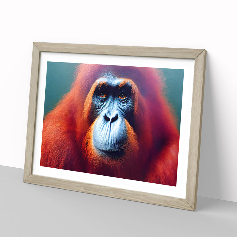 XH1022-8646X Superb Orangutan - Single Picture Frame Print, 25cm H x 34cm W x 2cm D, Oak