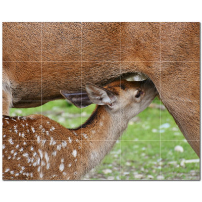12'' x 12'' Satin Ceramic Decorative Mural