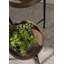 Support pour plantes rond à plusieurs niveaux Lofgren-1481734423-1603196627
