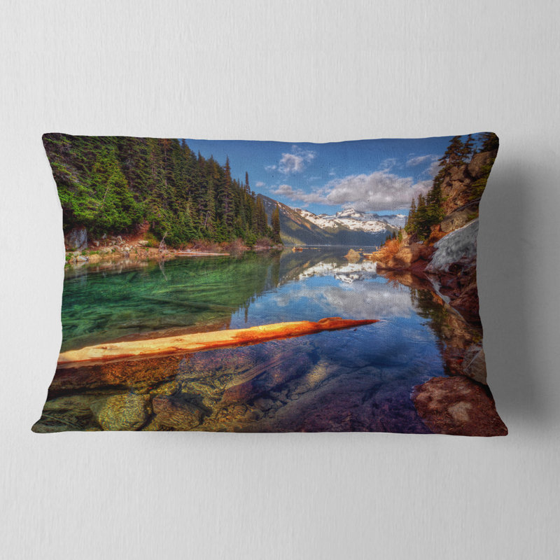 Coussin lombaire Schafer