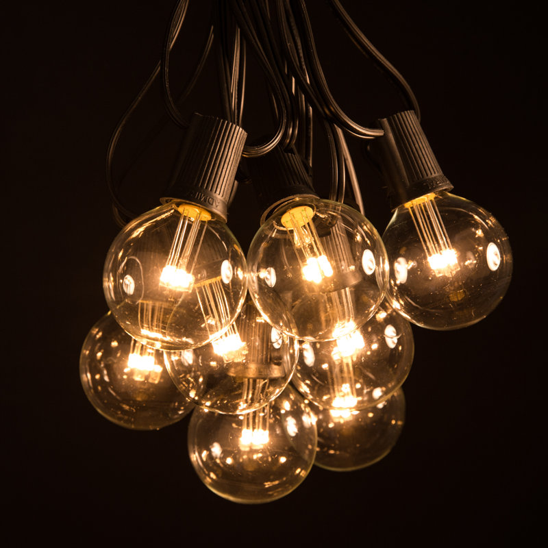 Outdoor 25 - Bulb 25'' Plug-in LED Globe String Light, Black