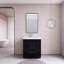 Maplesville 29.53'' Single Bathroom Vanity with Acrylic Top-451041292