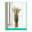 59'' Pampas Grass Grass in Pot