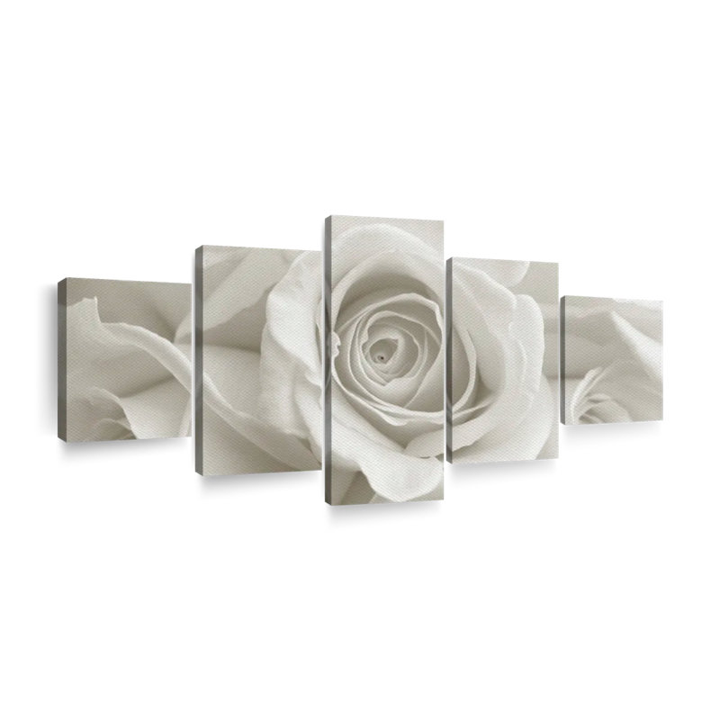 Roses blanches pures 5 pièces, H 30 po x l 68 po x P 1,25 po