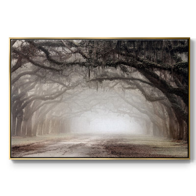 " Timeless Plantation Drive "