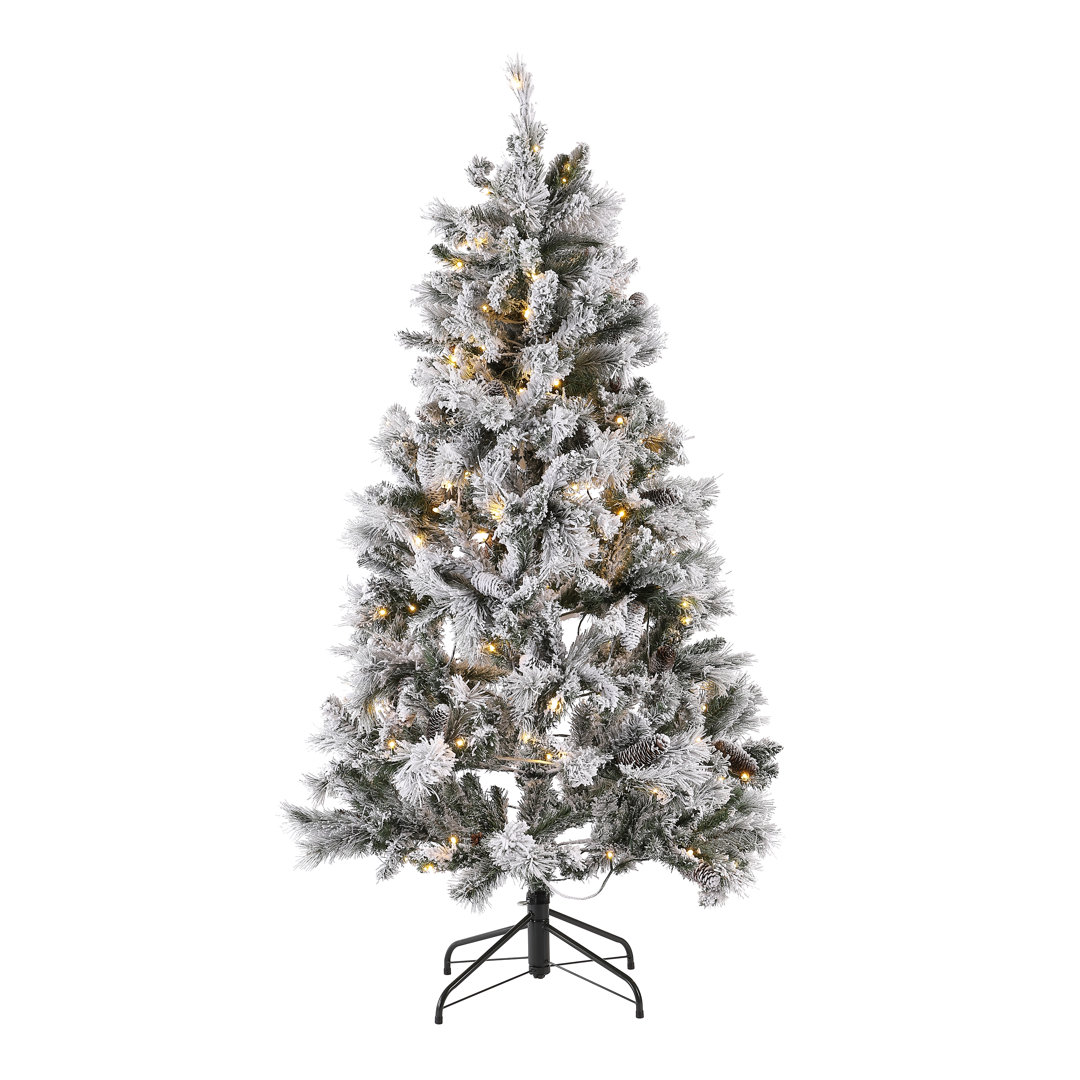 5.5' Lighted Pine Christmas Tree Safavieh