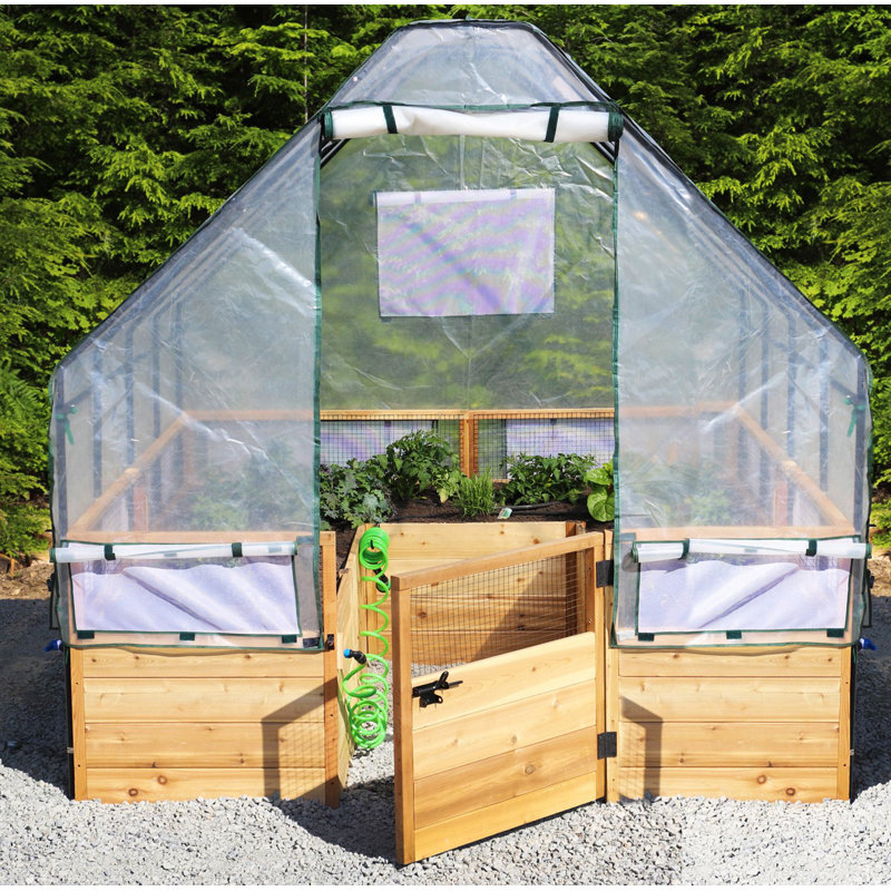 8 ft. W x 8 ft. D Cedar Garden in a Box with Greenhouse Covering