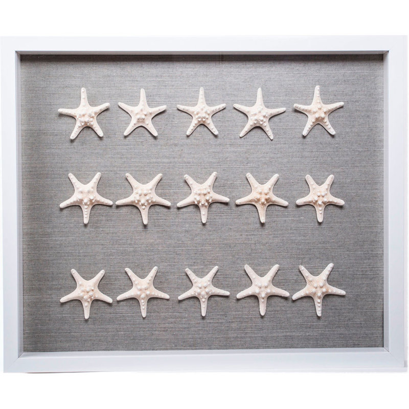 Sealife Framed Graphic Art