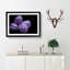 Four Purple Tulips - Framed Print-55577544-55577546