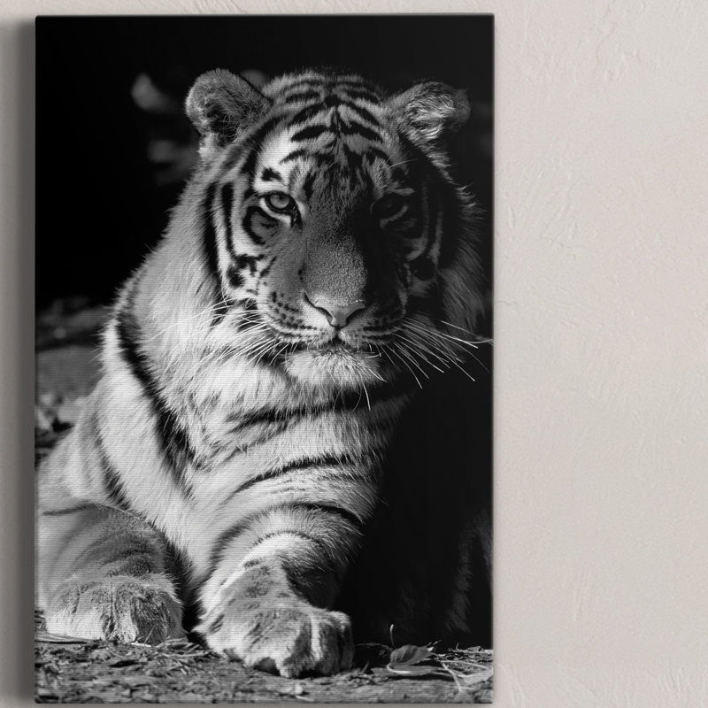 «Tiger Repose», toile tendue avec châssis de qualité supérieure - prête à être accrochée, H 36 po x l 24 po x P 1 po