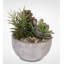 Faux Succulent in Stone Pot