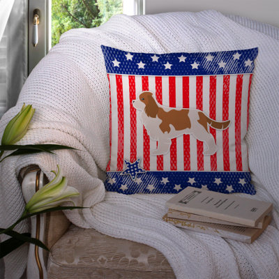 Coussin intérieur/extérieur bleu/rouge patriotique