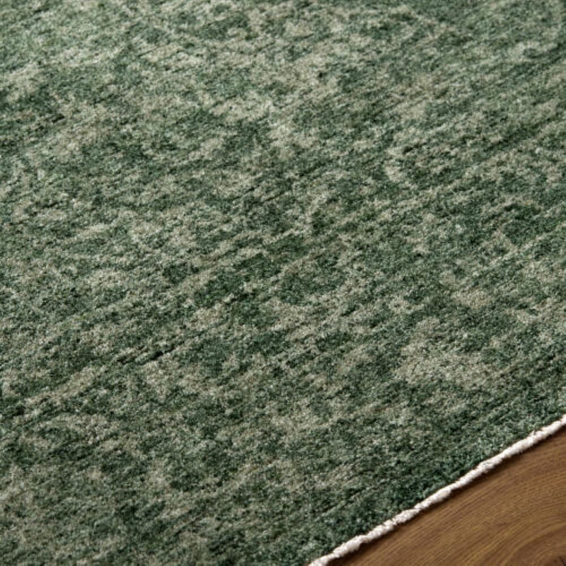 Cyrus Machine Woven Indoor Area Rug, Rectangle 2'7" x 3'11"