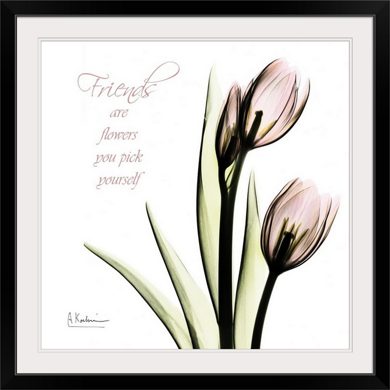 « tulip friends x-ray » par albert koetsier,, reproduction de photo, H 38 po x l 38 po x P 1 po, Cadre noir