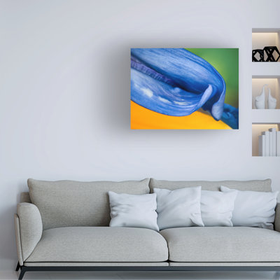 Wrapped Canvas Wall Art - Mary Lou Johnson 'Bird of Paradise' Wall Art for Living Room, Bedroom, or Office Décor  - 14x19