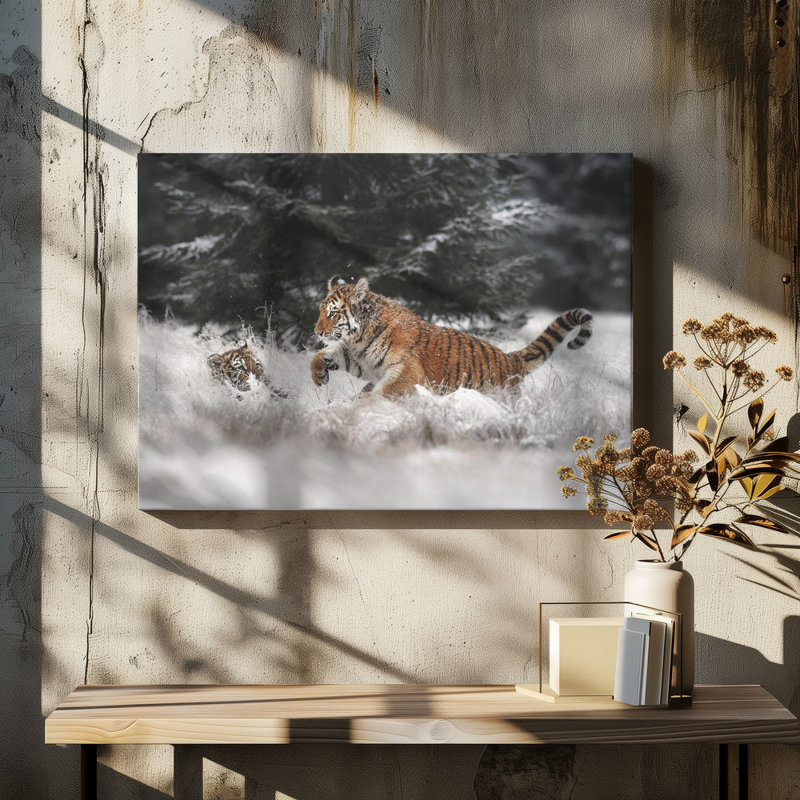 Wrapped Canvas Print, 50.8cm H x 76.2cm W