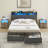 Chickering Upholstered Platform Storage Bed-1463803210-1463803213
