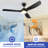 56-Inch Ceiling Fan with LED Light, App & Remote Control, Reversible DC Motor-1119254347-1119254344