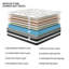 Matelas hybride à ressorts ensachés 12 po / 14 po-1985659541-1985659540