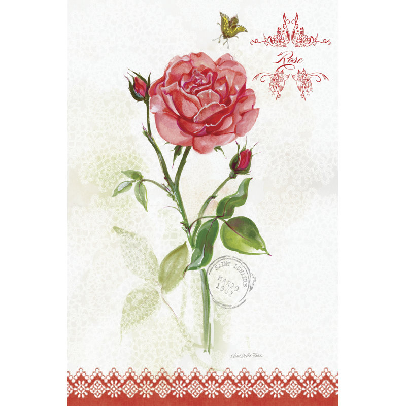 Flower Study On Lace XIII by Elissa Della-Piana - Wrapped Canvas Painting, 46cm H x 30cm W