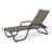 Outdoor Rust-Resistant Metal Chaise Lounge-19510310-48935085