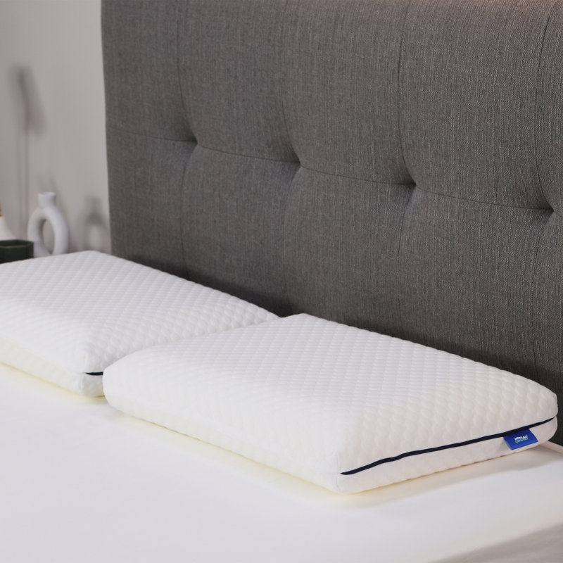 Cool Revolution Pillow