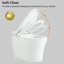 Toilette intelligente