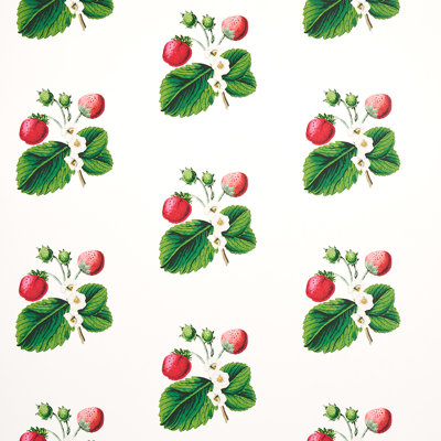 Schumacher x Johnson Hartig Strawberry Hill Wallpaper