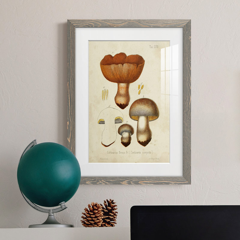 Champignon Variétés I encadré mat - prêt à accrocher, H 38 po x l 28 po x P 1 po, Cadre gris
