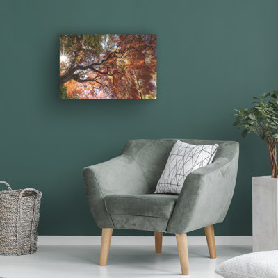 Wrapped Canvas Wall Art - Kurt Shaffer 'Amazing Autumn Japanese Maple tree 8' Wall Art for Living Room, Bedroom, or Office Décor  - 30x47
