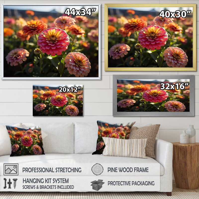 Champ de Zinnias coloré au lever du soleil VI, Noir, H 30 po x l 40 po x P 1,5 po