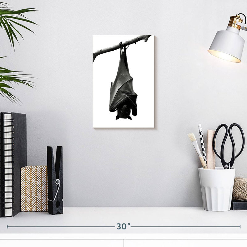 Brampt Monochrome Upside Down Bat, 12" H x 8" W