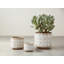 Pot Planter