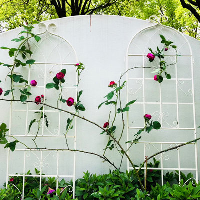 Rustproof 71" x 19.7" Metal Garden Trellis for Climbing Plants, Flower Support