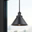 Luminaire suspendu conique à 1 lumière Paylor-100683124-94984097-100683134