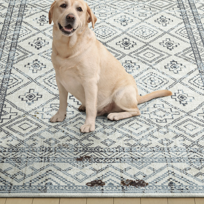 Tapis gris Jahnvi, Rectangle 6 pi 6 po x 9 pi 2 po