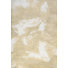 Gold/Cream