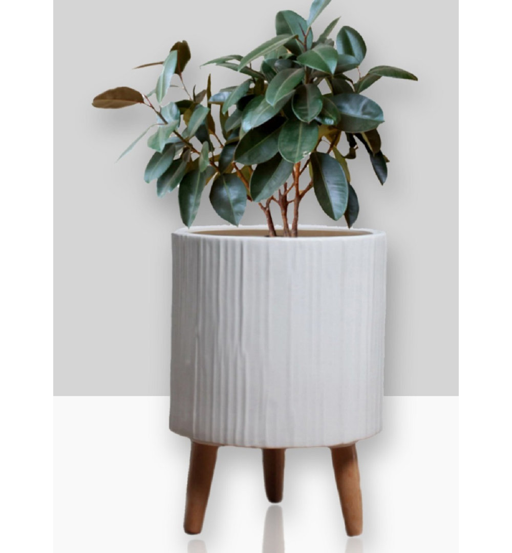 Jeromy Ceramic Pot Planter George Oliver