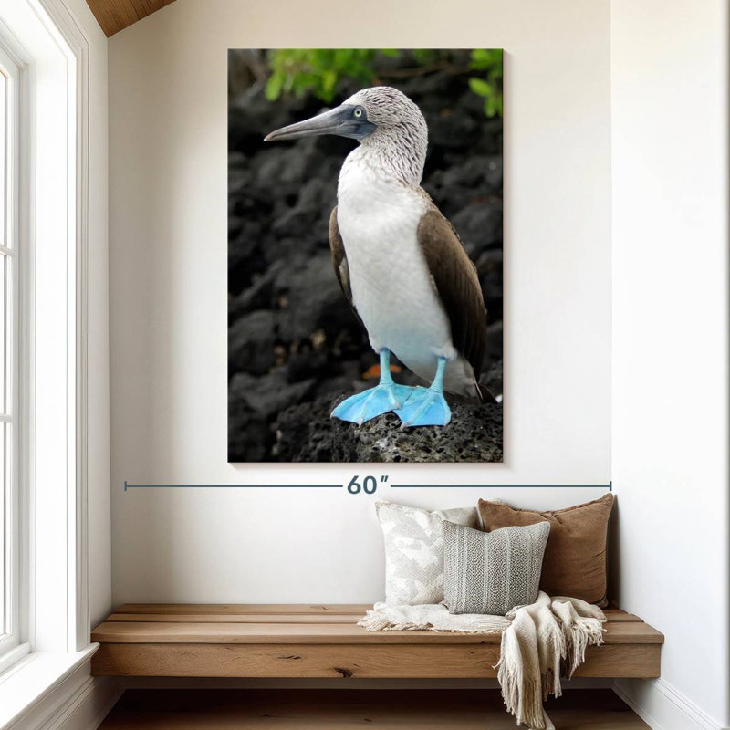 Brampt Blue-Footed Booby Birds, 51" H x 34" W