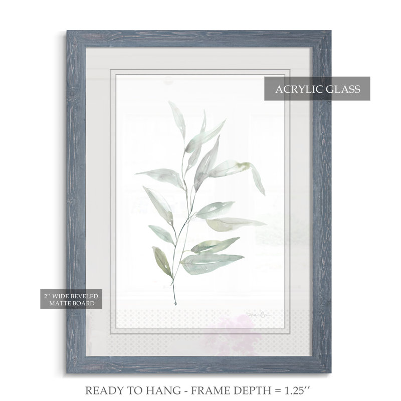 « ethereal eucalyptus ii »-impression du cadre sur verre, H 32 po x l 44 po x 1,25 po, Encadré imprimé gris