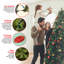 The Holiday Aisle® Princeton Fraser Fir with PowerConnect and Dual Color LED Lights-599926729