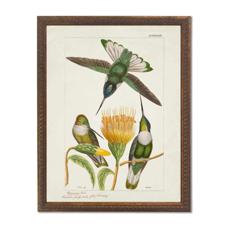 Colibris et fleur jaune dans un cadre perlé bronze