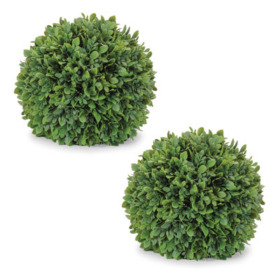 Boxwood Foliage Orb