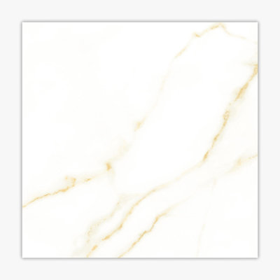 24" x 24" Porcelain Stone Look Wall & Floor Tile
