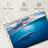 Brampt Blue Ocean Whale-107688013