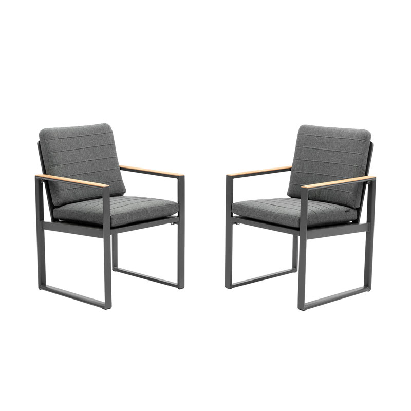 Chaises de salle à manger avec coussins 2 pièces Alexander Collection, Gris, Gris