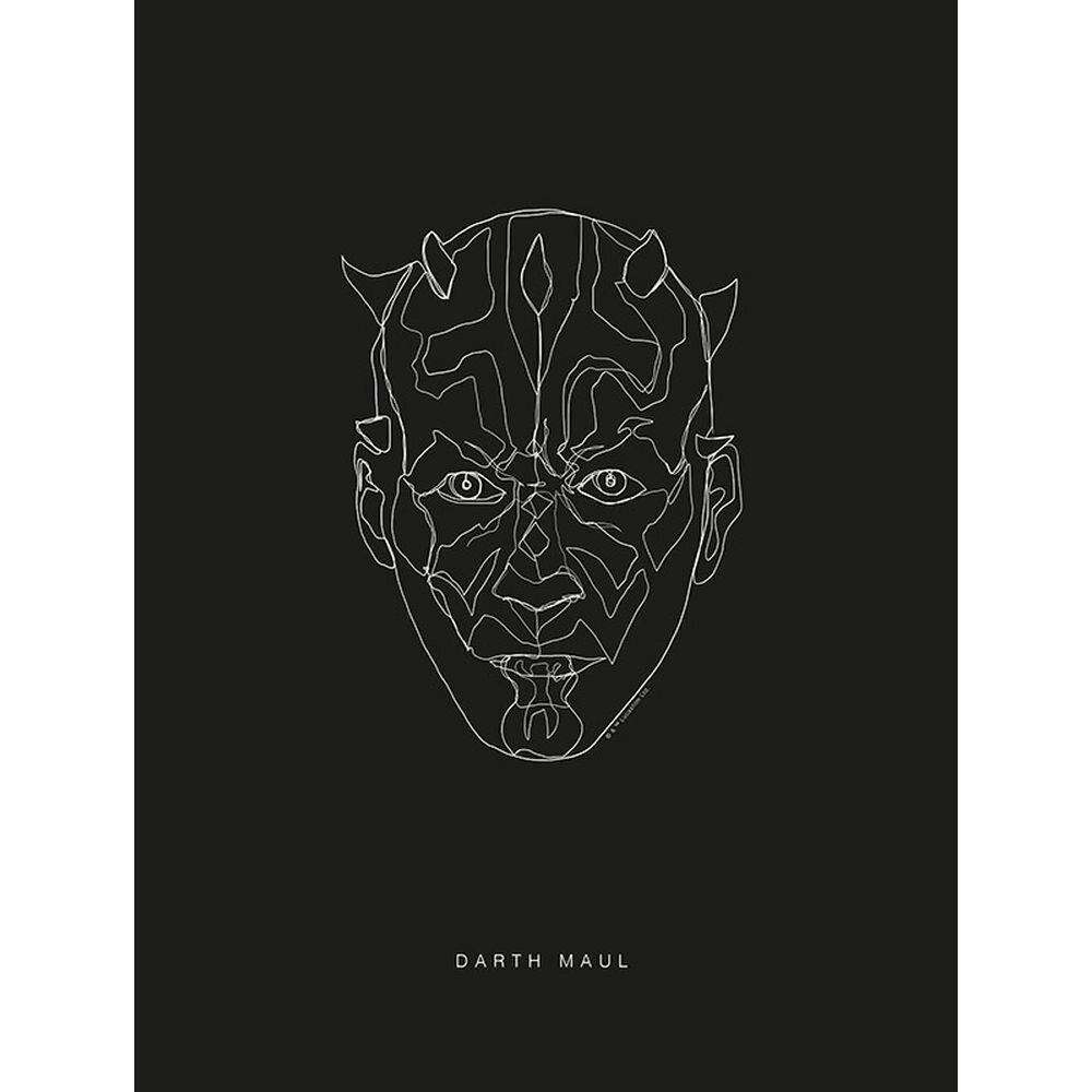 Poster Star Wars Lines Dark Side Maul